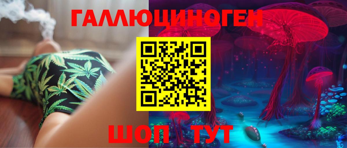 Псилоцибиновые грибы Cubensis Можайск